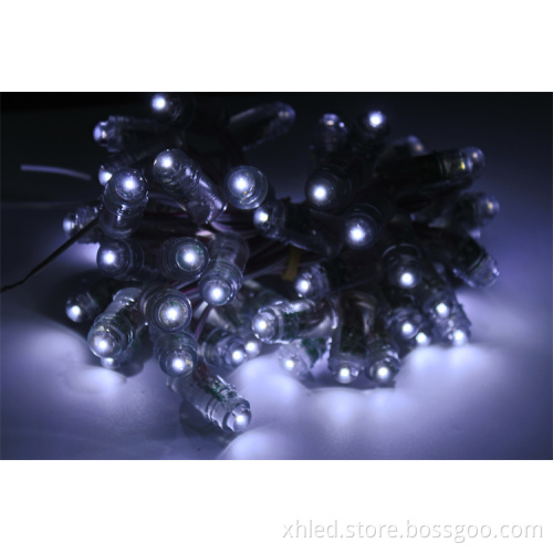 High Quality 50pcs/String 0.2W Waterproof IP67 Cold White SMD5050 LED Christmas Lights